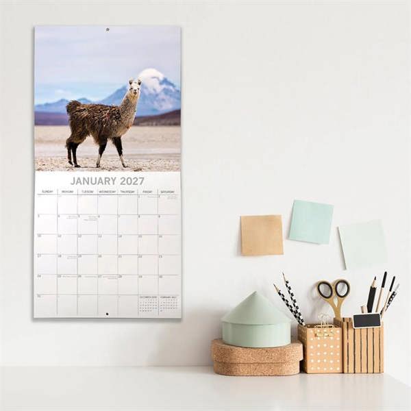 Llamas Calendar 2027, Wall Calendars, Month To View, Humour, Gift