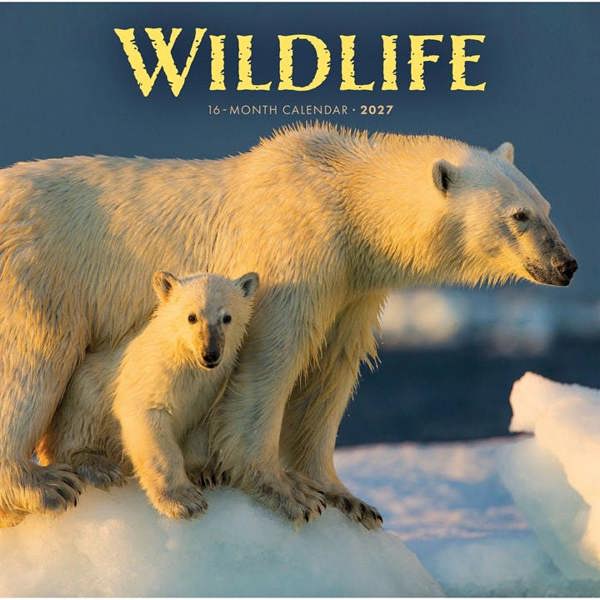 Wildlife Calendar 2027, Wall Calendars, Month To View, Animals, Gift