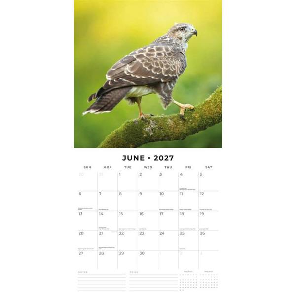 Birds of Prey Calendar 2027, Wall Calendars, Month To View, Animals, Gift