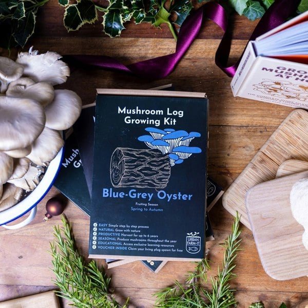 Urban Farm-It Blue-Grey Oyster Mushroom Log Growing Kit