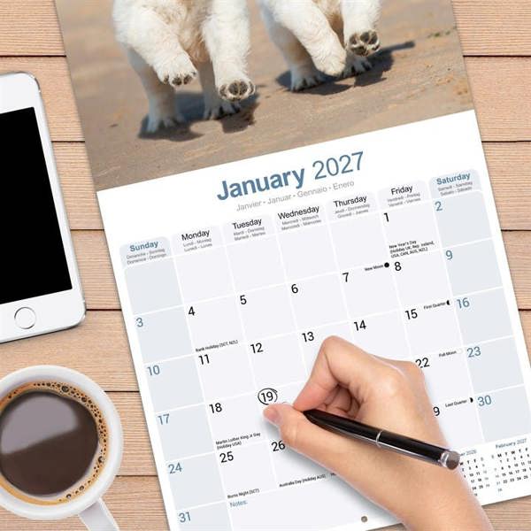 Golden Retriever Puppies Calendar 2027, Wall Calendars, Month To View, Dogs, Gift