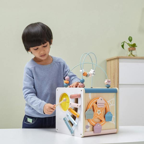 Polar B 8 in 1 Activity Cube