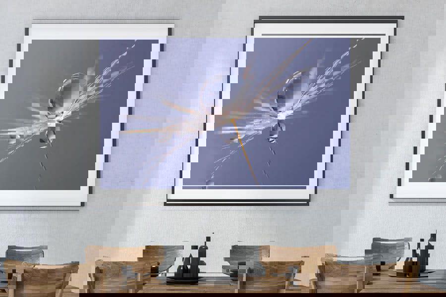 macro dandelion flower art print