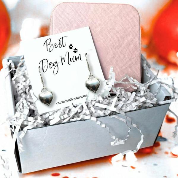 Aye Do Gifts Best Dog Mum Earrings & Jewellery Box Gift