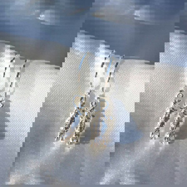 Bearded Dragon Silver Earrings - MYLEE London
