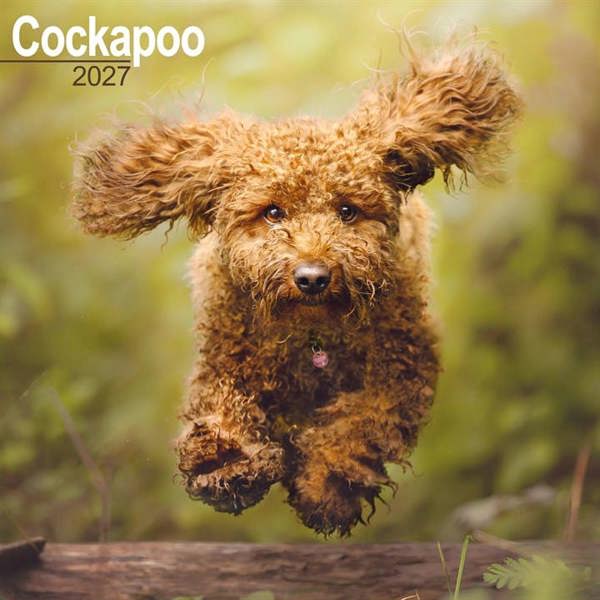 Cockapoo Calendar 2027, Wall Calendars, Month To View, Dogs, Gift