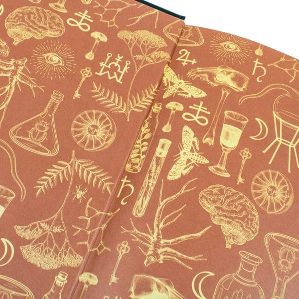 Alchemised by SenLinYu : The 2025 debut novel phenomenon everyone is talking about and no one can put down