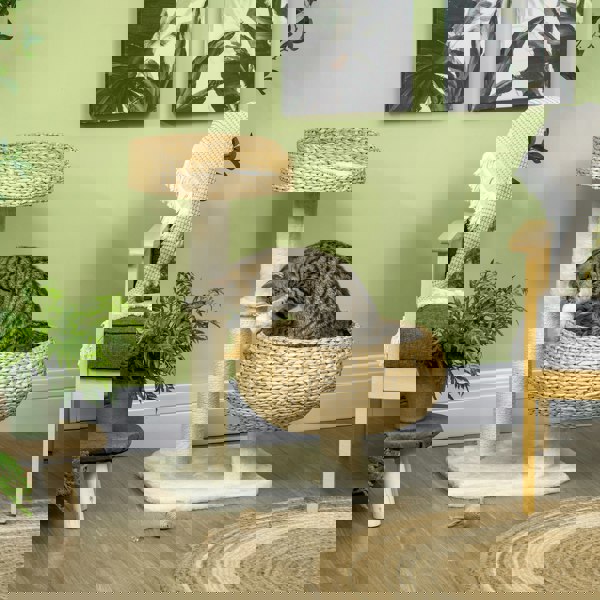 D30-636V70BG