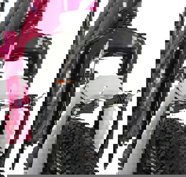 Dawes 20" Paris HT Kids Mountain Bike