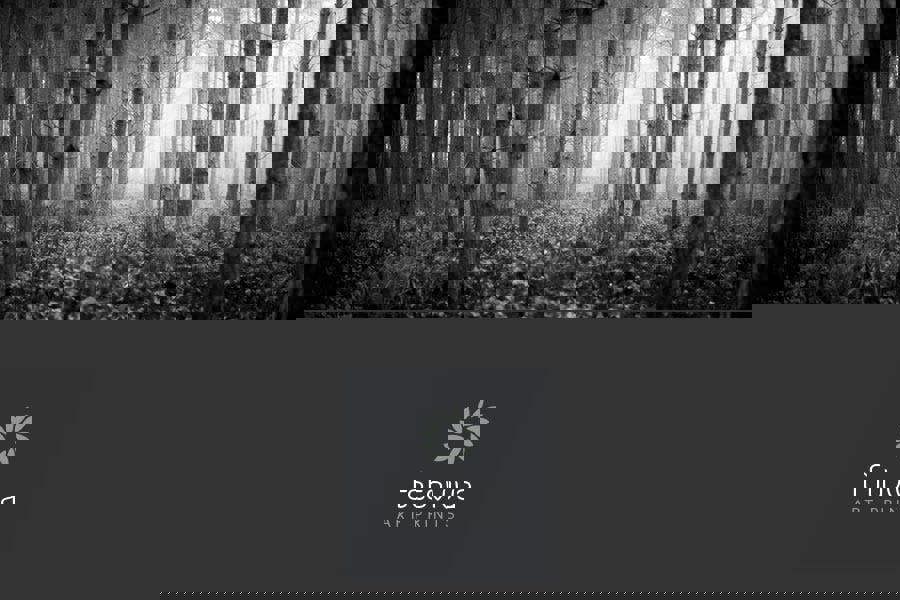 Fernlight Gallery Illumination