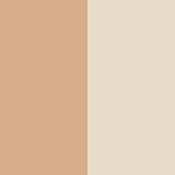 Laura Mercier Secret Camouflage