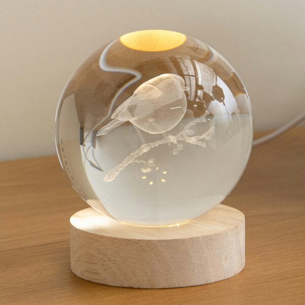 Samuel Alexander 10cm USB Powered Light Up Christmas Decoration 3D Robin Glass Globe