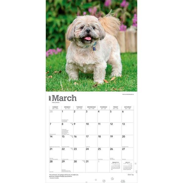 Shih Tzus Calendar 2027, Wall Calendars, Month To View, Dogs, Gift