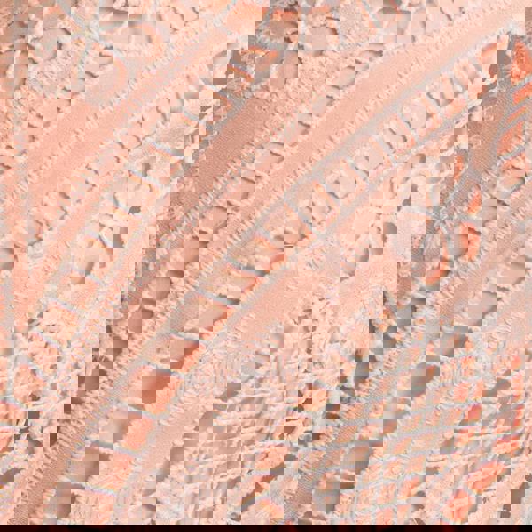 GWD Doris Pink Lace Midi Dress