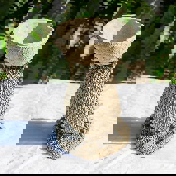 Small Adorable Hedgehog Design Stonecast Bird Bath