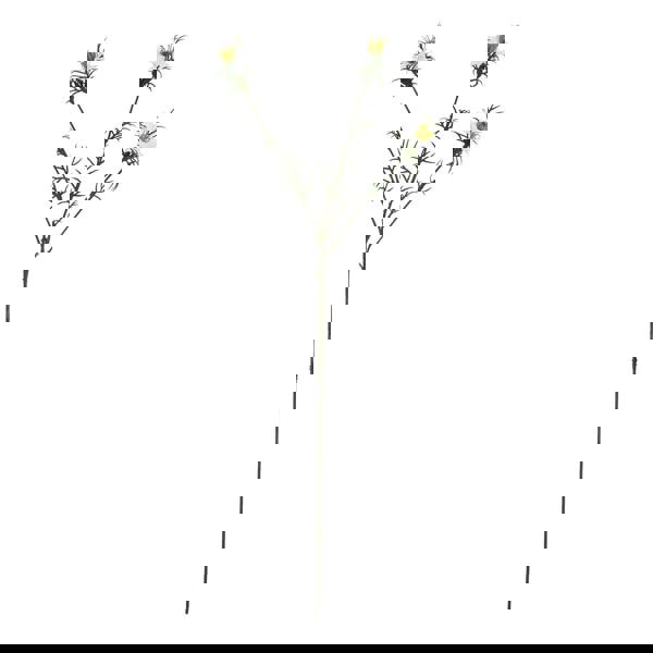 Hill Interiors The Natural Garden Collection Love In A Mist Nigella Artificial Flower - White - 