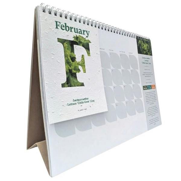 RHS, Plantable Veg & Herb Large Easel Desk Calendar 2027, Desk Calendars, Month To View, Lifestyle, Gift