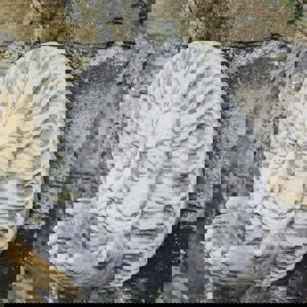 Large Stone Cast Wind Wall Plaque