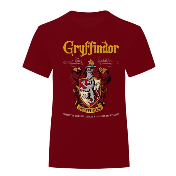 Harry Potter Unisex Adult Gryffindor T-Shirt - Maroon