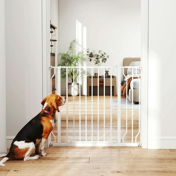 White dog safety gate across a doorway with a dog waiting behind the bars