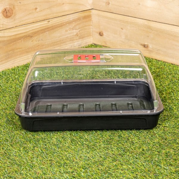 Samuel Alexander 4 x 38cm Unheated Seed Starter Tray Grostart Midi Propagator Indoor Seedling Planter