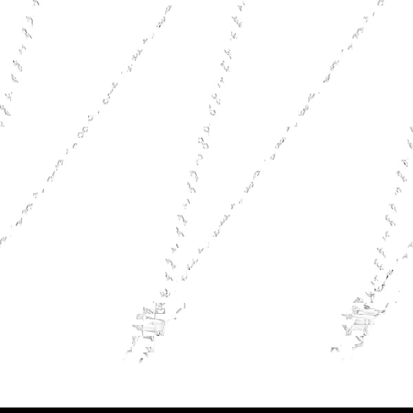 Short - Haired Cat Silver Necklace - Personalised - MYLEE London
