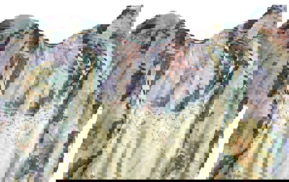 180685240.jpg