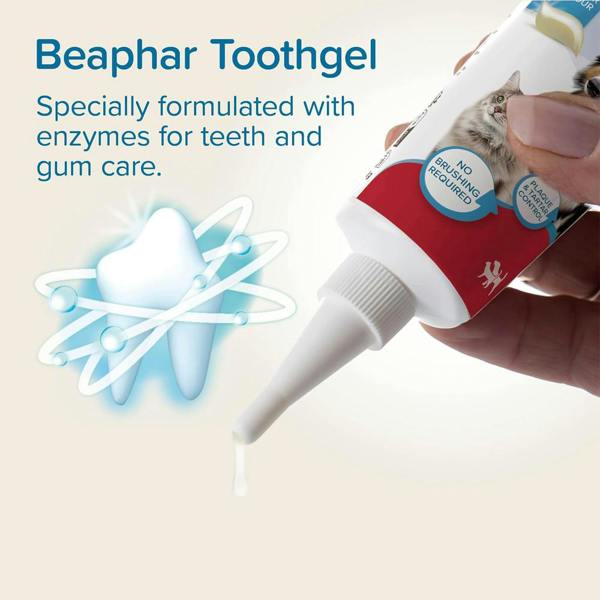 Beaphar Tooth Gel for Dogs & Cats 100g