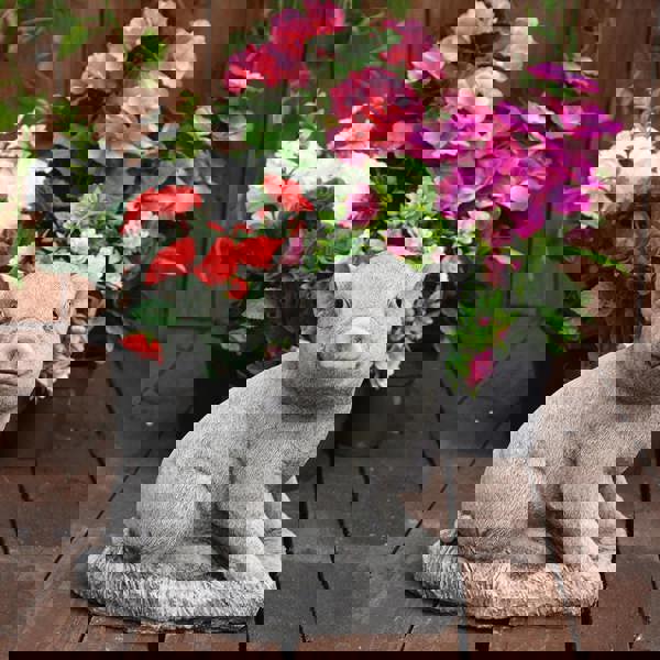 Adorable Stone Cast Babe Pig Garden Ornament