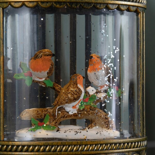 Samuel Alexander 24cm Dual Powered Light up Christmas Cage Water Spinner with Robin Scene & LEDs