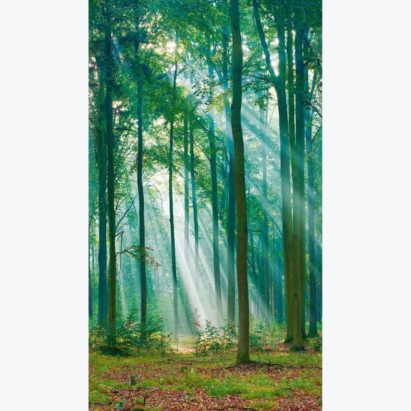 Grandeco Photographic Forest Sunlight Through Trees 3 panel repeatable mural 1.59 x 2.8m