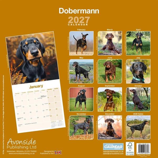 Dobermann Calendar 2027, Wall Calendars, Month To View, Dogs, Gift
