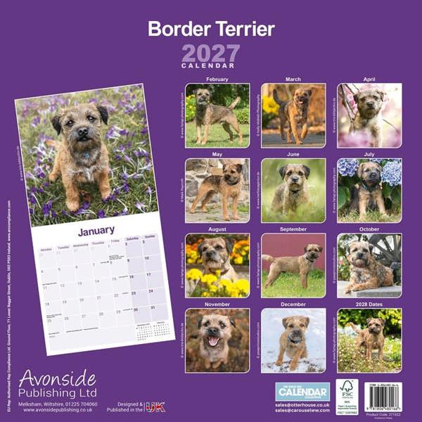 Border Terrier Calendar 2027, Wall Calendars, Month To View, Dogs, Gift