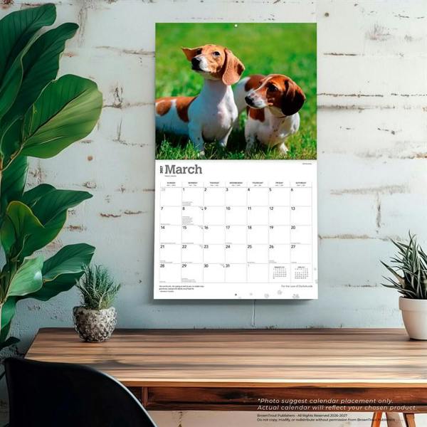 For The Love Of Dachshunds Deluxe Calendar 2027, Deluxe Calendars, Month To View, Dogs, Gift
