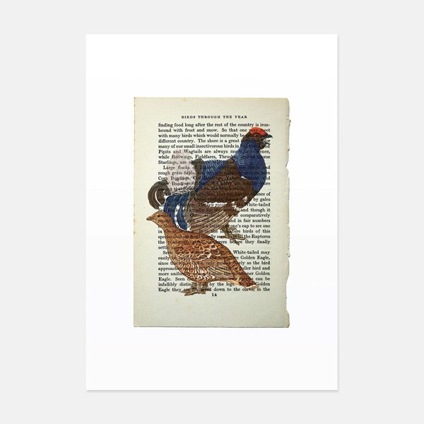 Hands & Hearts Grouse vintage book page art print