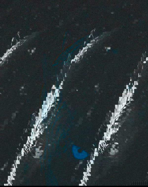 Game of Thrones Mens Black Night King Short Sleeved T-Shirt