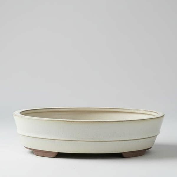 Yorkshire Bonsai 31cm Glazed Bonsai Pot | Oval | 31cm x 24cm x 7cm | White