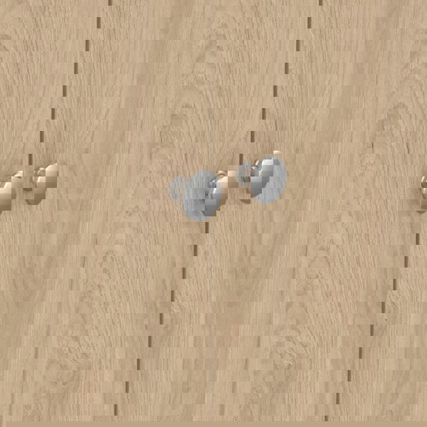 Furniture To Go Madrid Wardrobe with 2 Doors in Jackson Hickory Oak