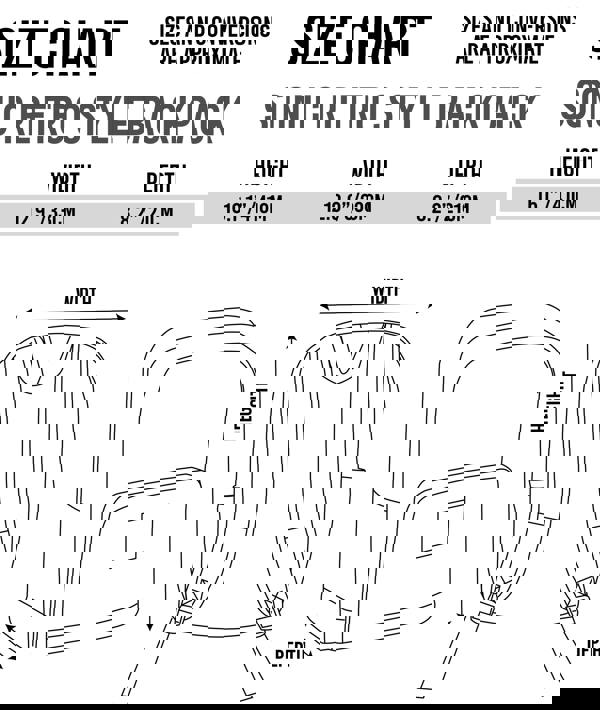 Sonic the Hedgehog Boys Black Sonic Placement Print Graphic Checkerboard Pocket Backpack (One Size)