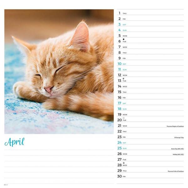 Cats Calendar 2027, Wall Calendars, Month To View, Cats, Gift
