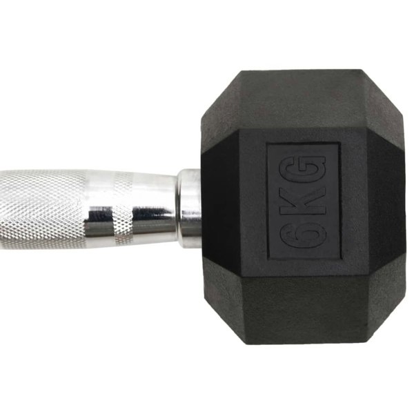 Berkfield Dumbbells 2 pcs 12 kg Cast Iron