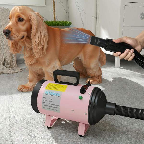 Pet Dryer