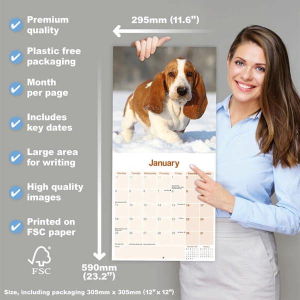 Basset Hound Calendar 2027, Wall Calendars, Month To View, Dogs, Gift