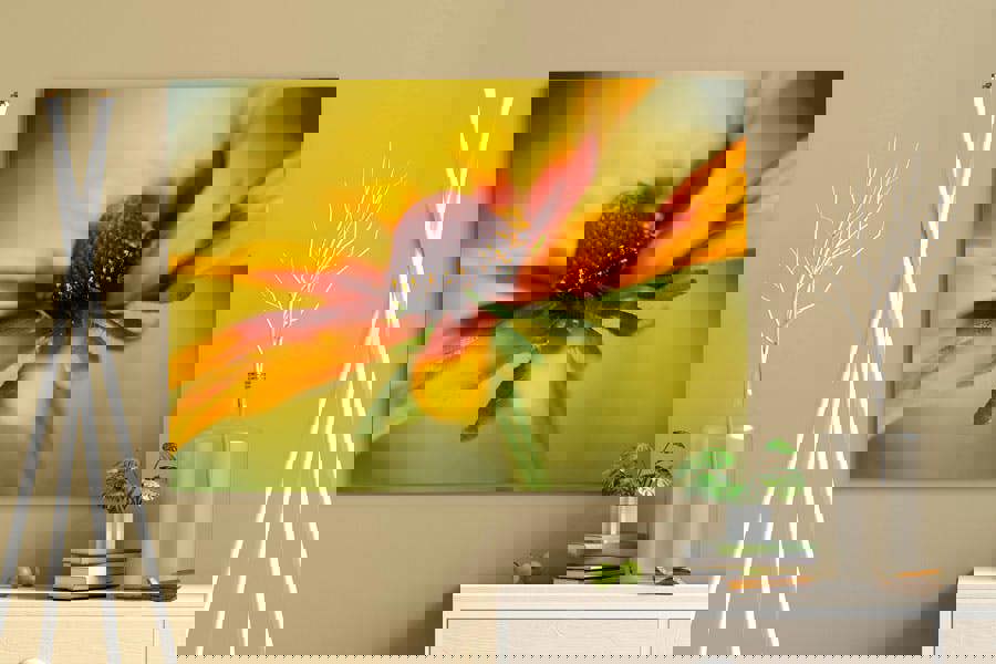 Rudbeckia flower art print