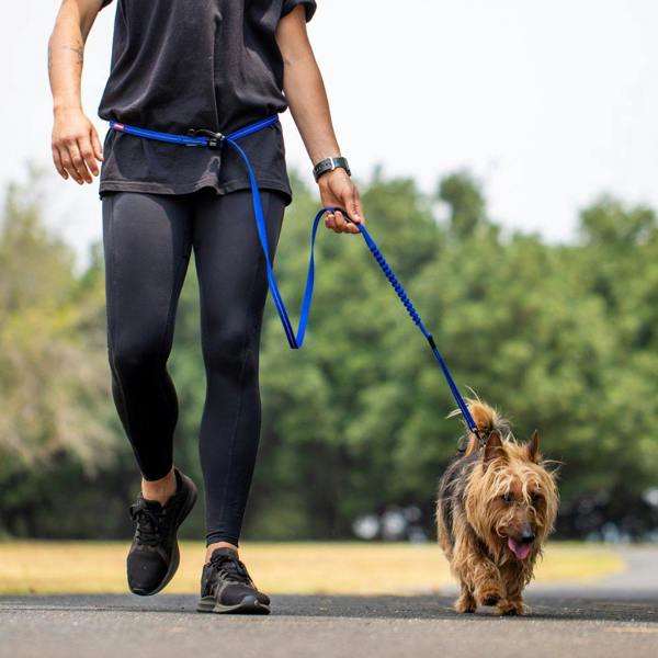 EzyDog Road Runner Dog Lead in Blue