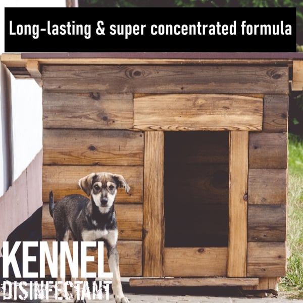 Ultima Plus XP ULTIMA-PLUS XP Kennel Kleen - Disinfectant, Cleaner, Sanitiser & Deodoriser 10L Bubblegum Scent