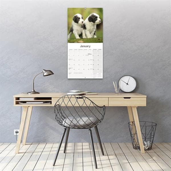 Bearded Collie Calendar 2027, Wall Calendars, Month To View, Dogs, Gift