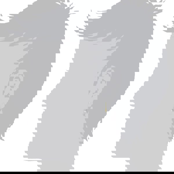 135E1157019 Classic Freshwater Pearl Drop Earrings in 9ct Yellow Gold 3