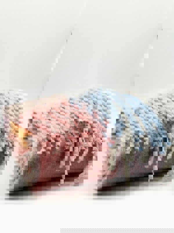 SVNX Light Checked Print Scarf