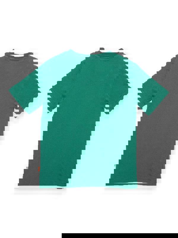 Kite Boys Organic Dragon's Roar T-Shirt